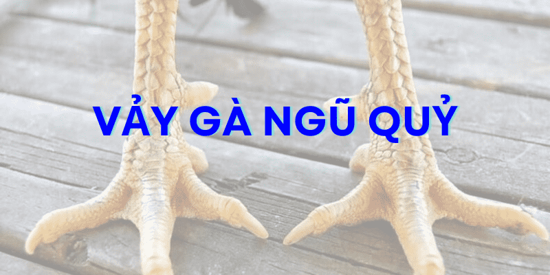 Vảy gà ngũ quỷ