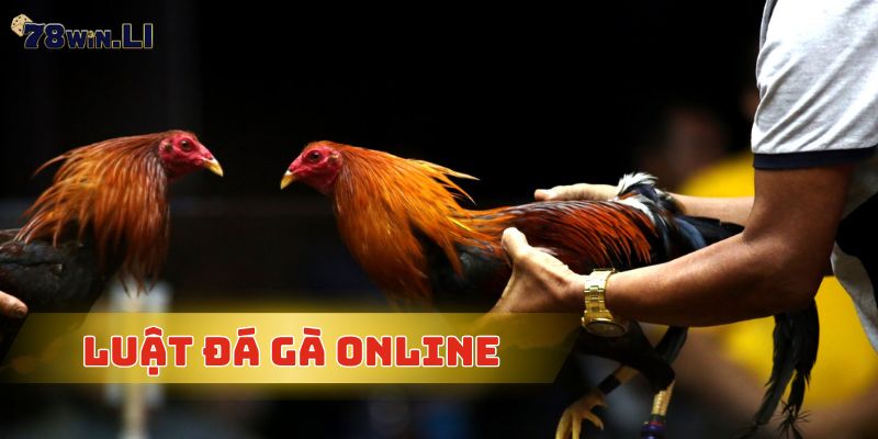 Luật đá gà online